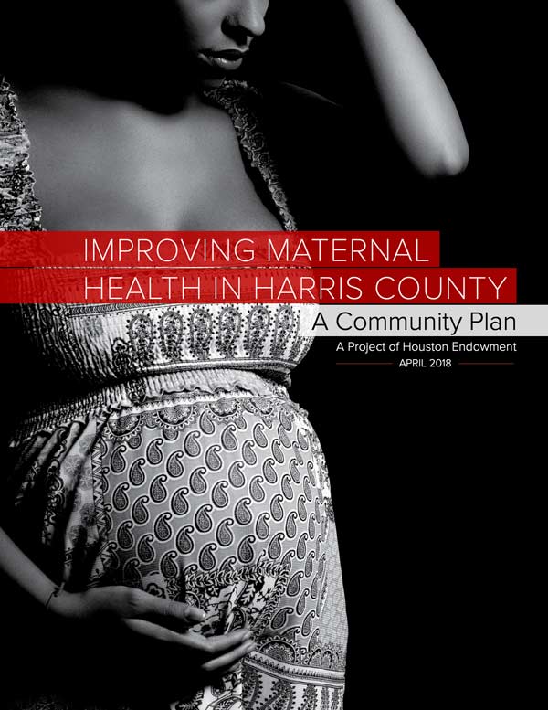 Improving Maternal Health: A Community Plan